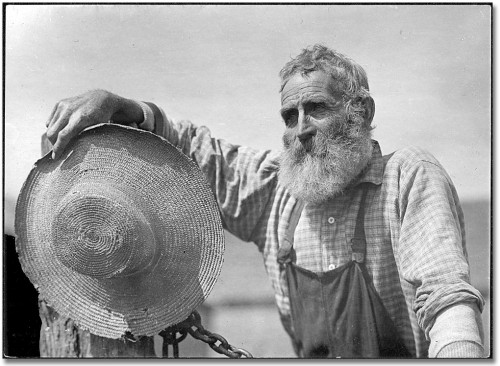 Amplifier Farmer